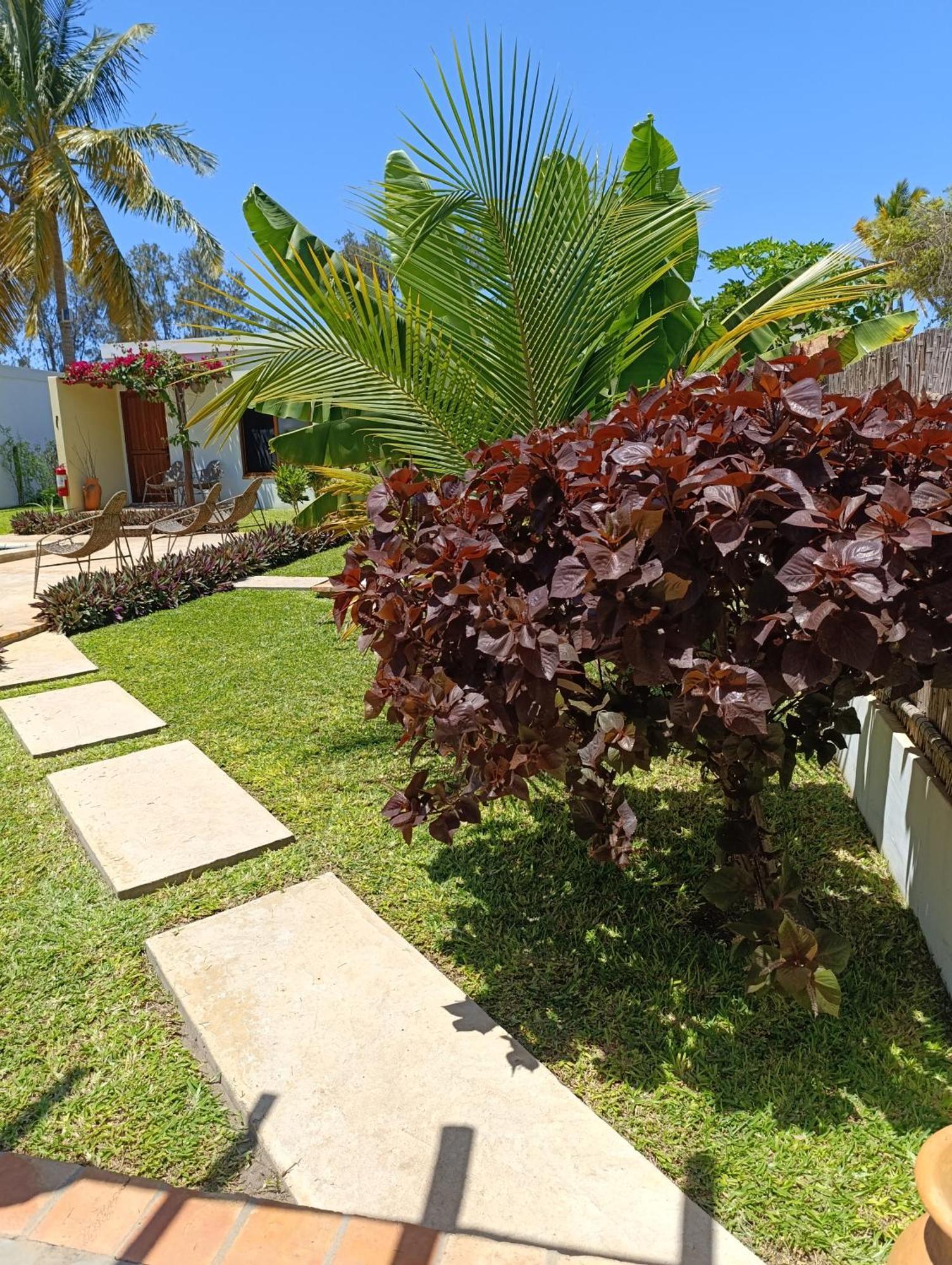 Telvina Beach Lodge Виланкулос Экстерьер фото